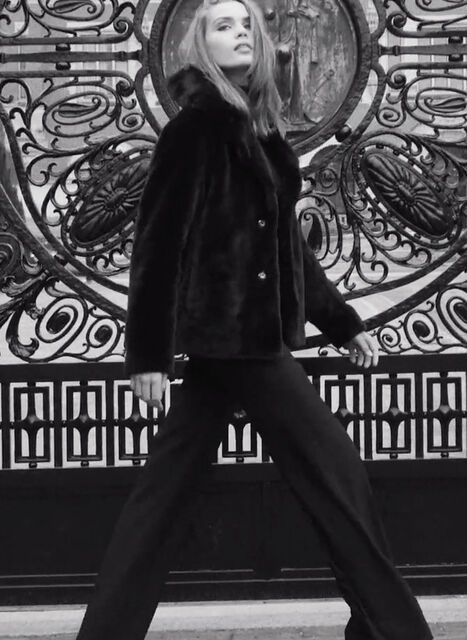 Capturing the essence